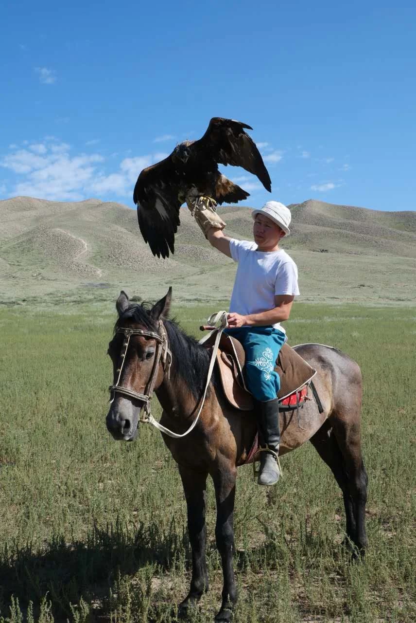 Eagle hunter on horseback raising a golden eagle with open wings during a demonstration in Bokonbayevo, Kyrgyzstan